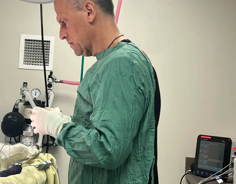 Preparing for a procedure Preparing for a procedure