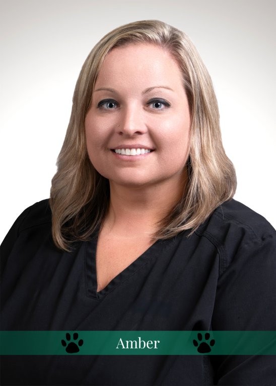 Amber , Receptionist Coordinator